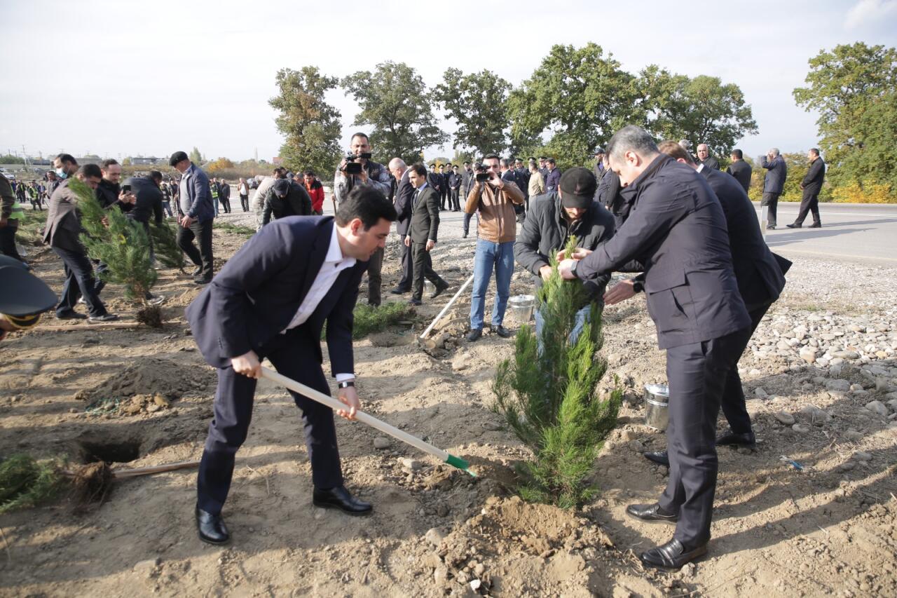 Xaçmazın Xanoba kəndində “Yaşıl dünya naminə həmrəylik ili” çərçivəsində ağacəkmə aksiyası keçirilib