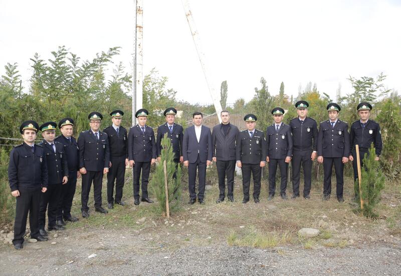 Xaçmazın Xanoba kəndində “Yaşıl dünya naminə həmrəylik ili” çərçivəsində ağacəkmə aksiyası keçirilib