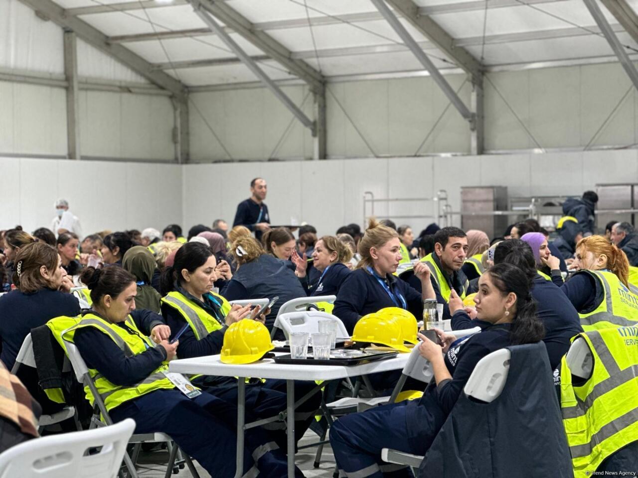 COP29-un