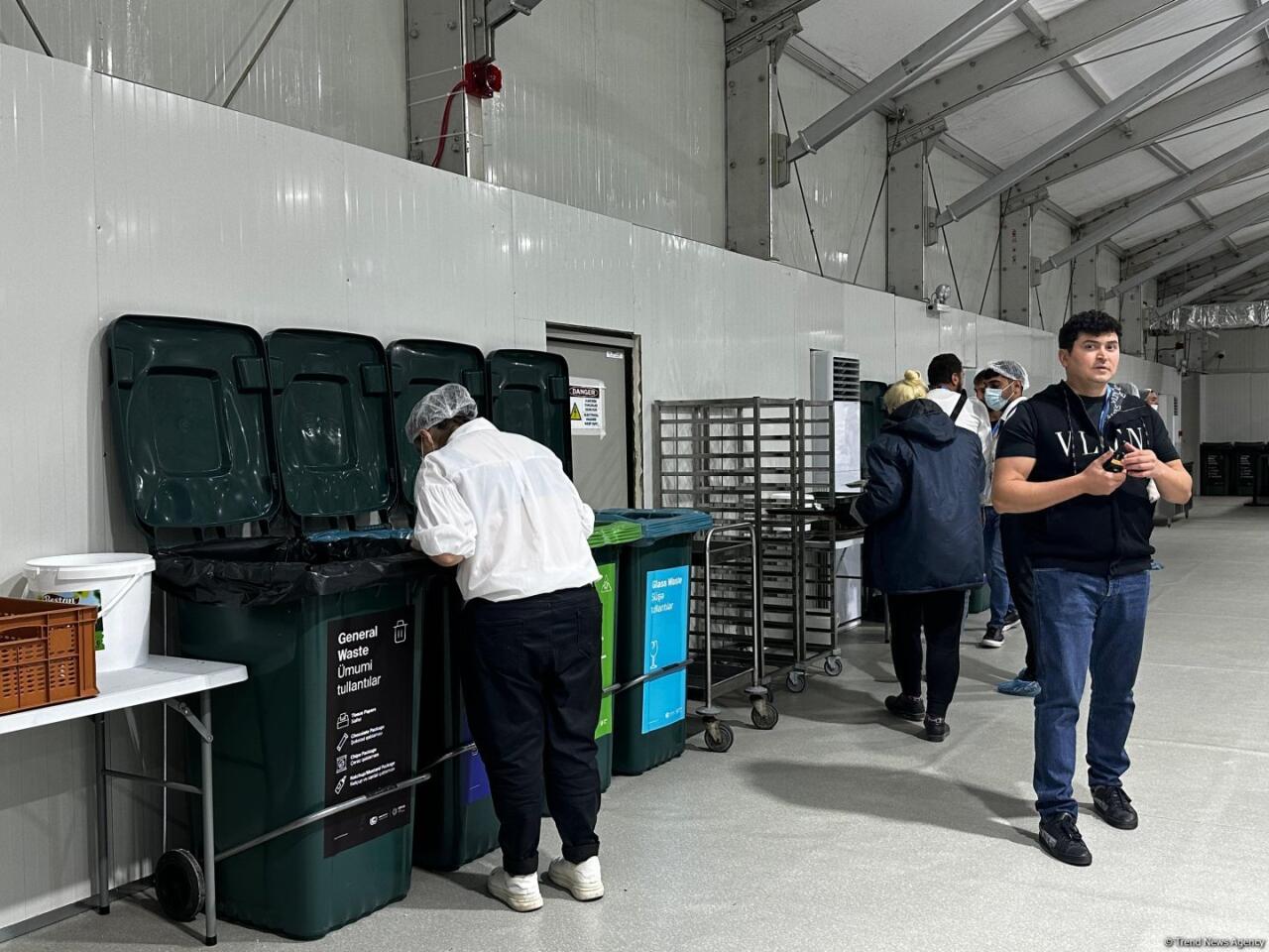 COP29-un