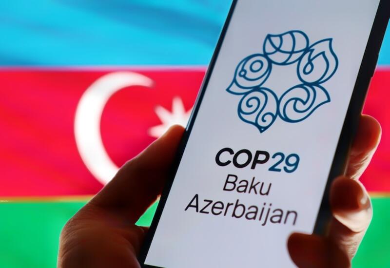 COP 29 yalanları alt-üst etdi