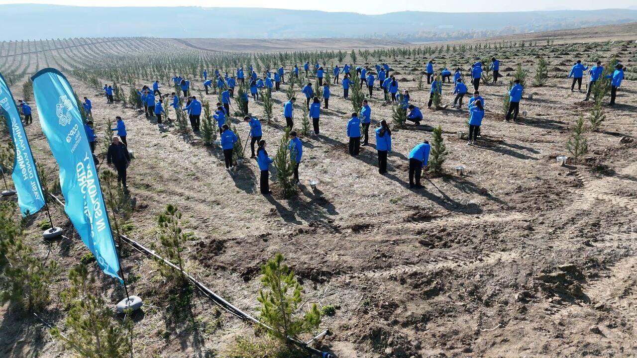 По инициативе Фонда Гейдара Алиева и Фонда нулевых отходов Турции в Шамахинском районе прошла акция по посадке деревьев