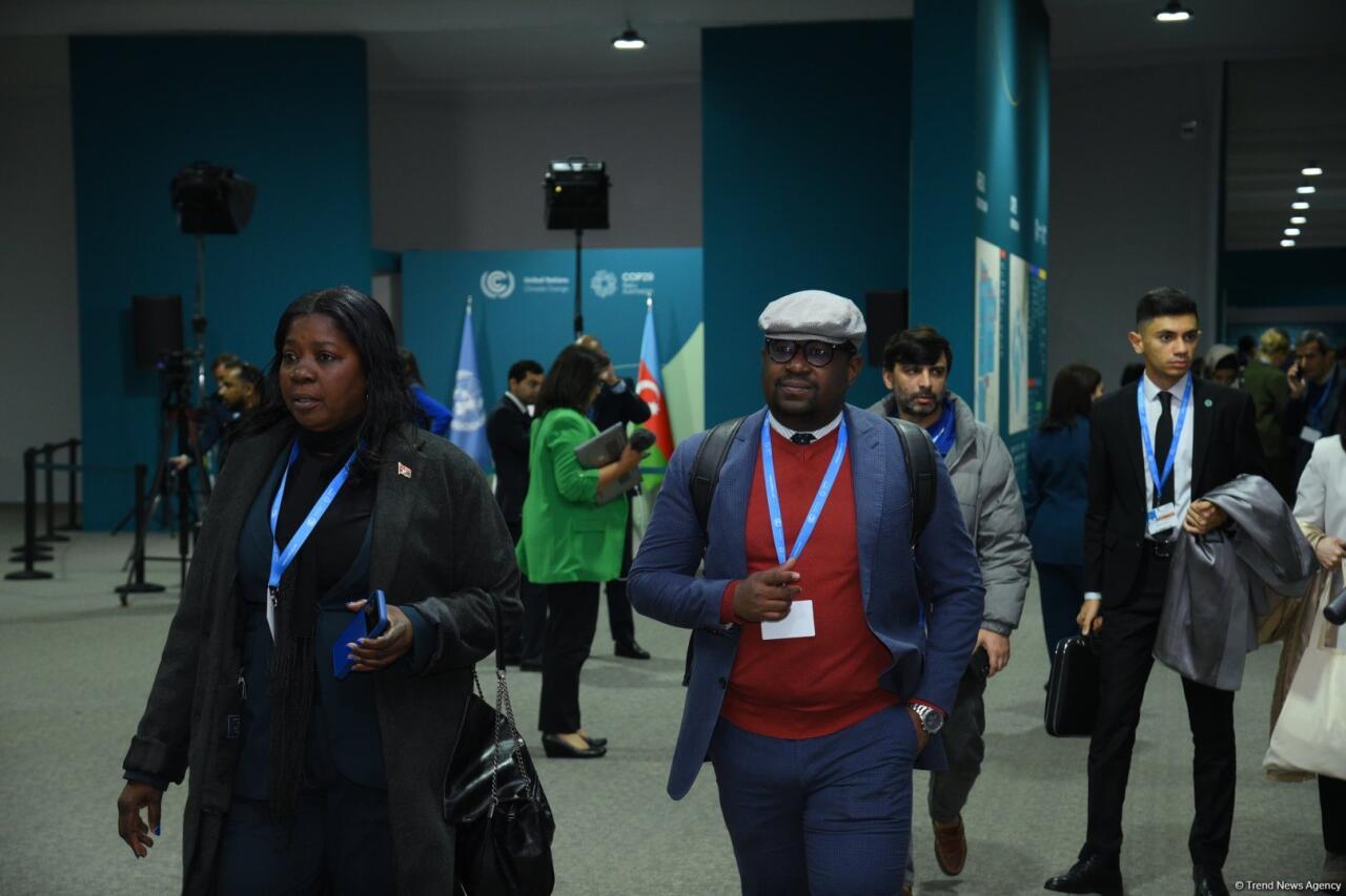 Bakıda keçirilən COP29-un ikinci günündən