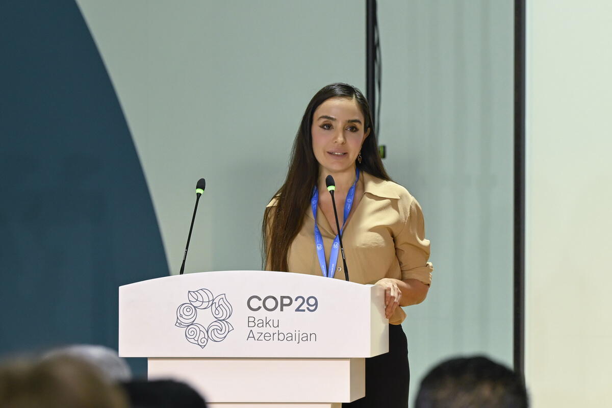 COP29 çərçivəsində Heydər Əliyev Fondunun “Azərbaycan. Təbiətin sehrində” nəşri təqdim edilib