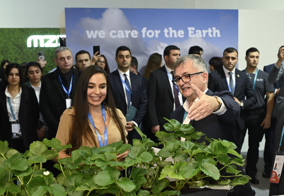 COP29 çərçivəsində Heydər Əliyev Fondunun “Azərbaycan. Təbiətin sehrində” nəşri təqdim edilib