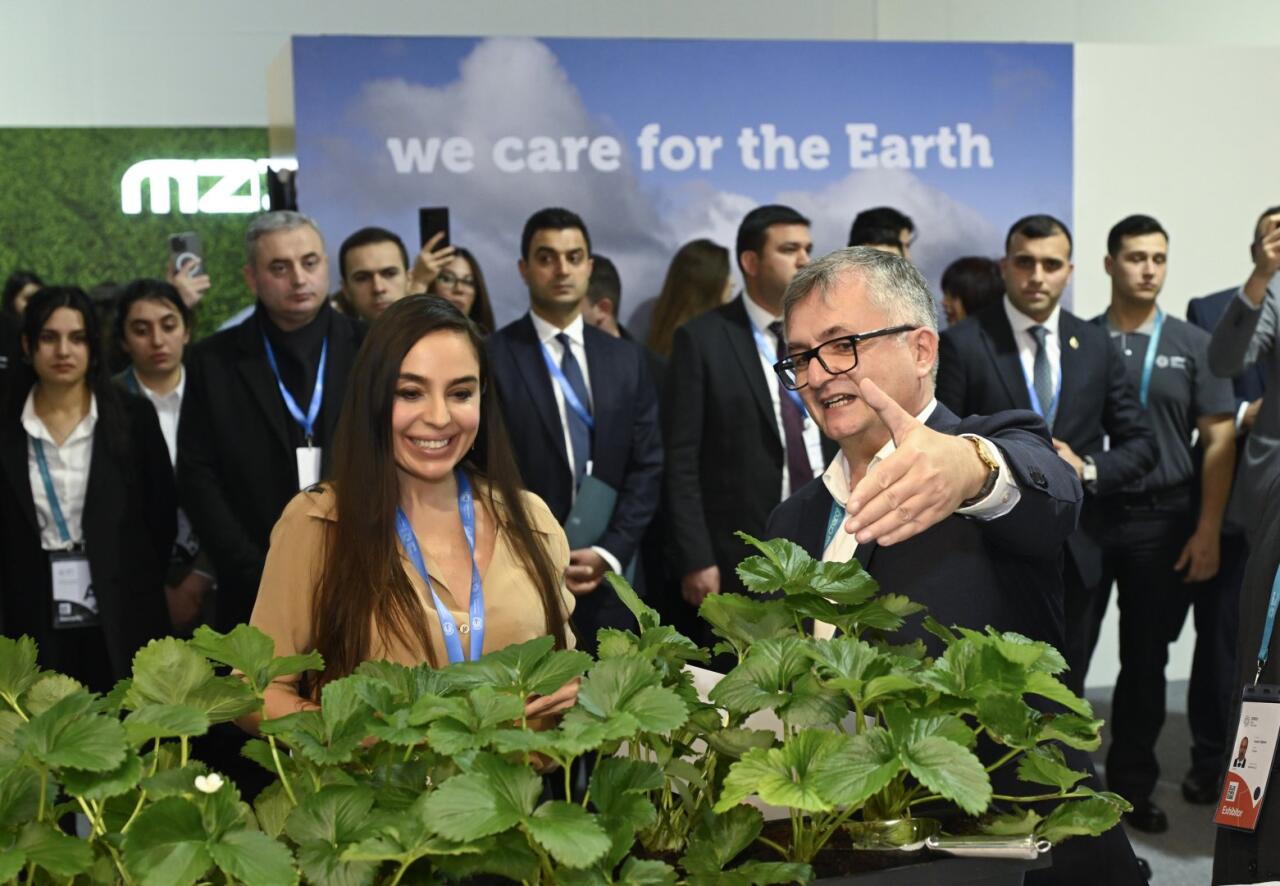 В рамках COP29 представлено издание Фонда Гейдара Алиева «Азербайджан. Вдохновляясь от природы»