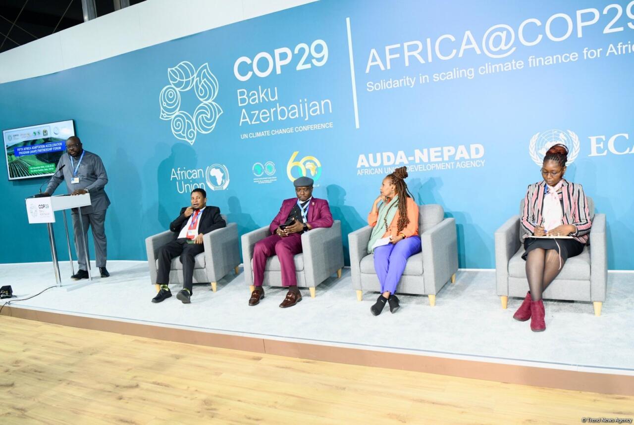 Африканские Организации гражданского общества поделились ожиданиями от COP29 в Баку