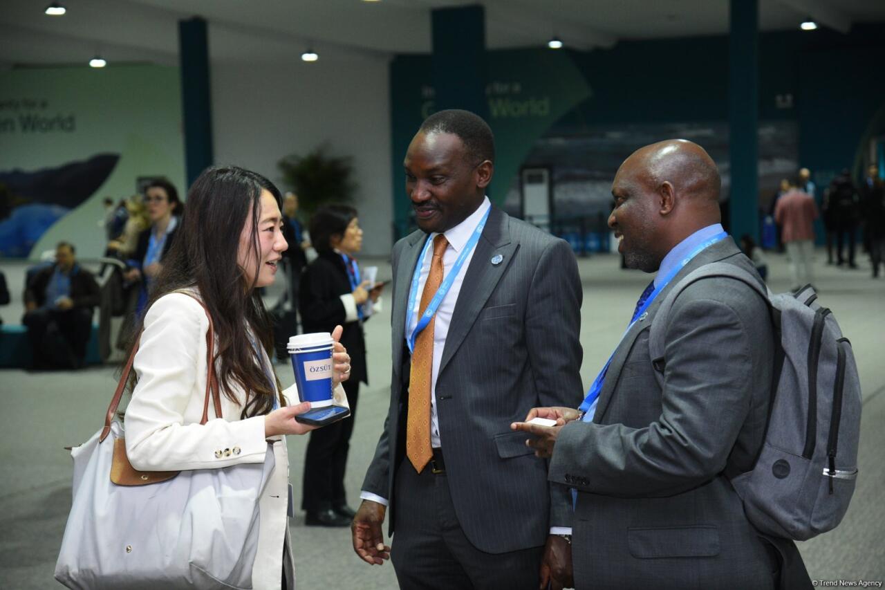 COP29-un dördüncü günündən