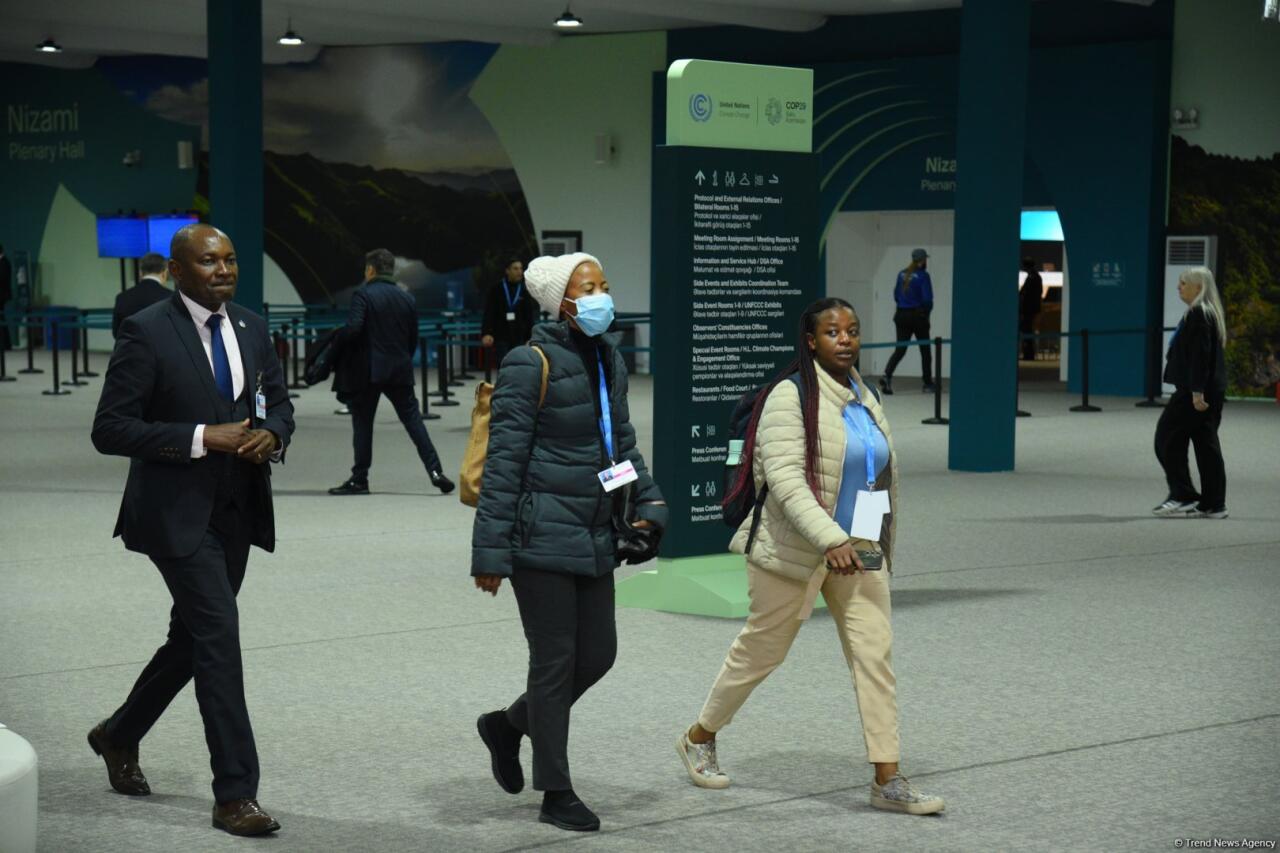 COP29-un dördüncü günündən