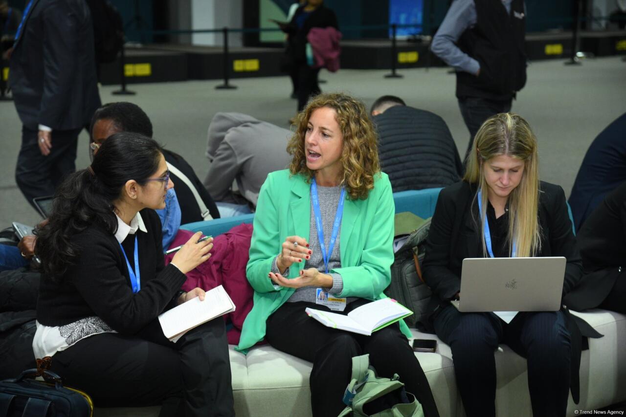 COP29-un dördüncü günündən