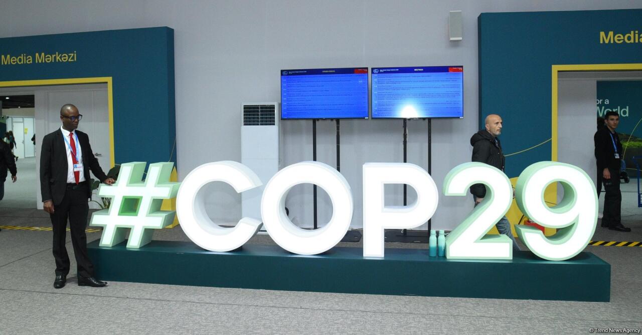 COP29-un dördüncü günündən