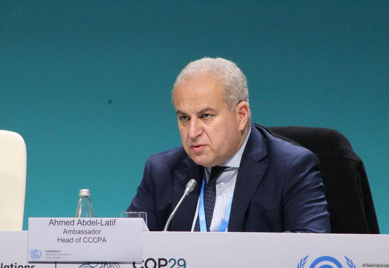 COP29 стала инклюзивным процессом