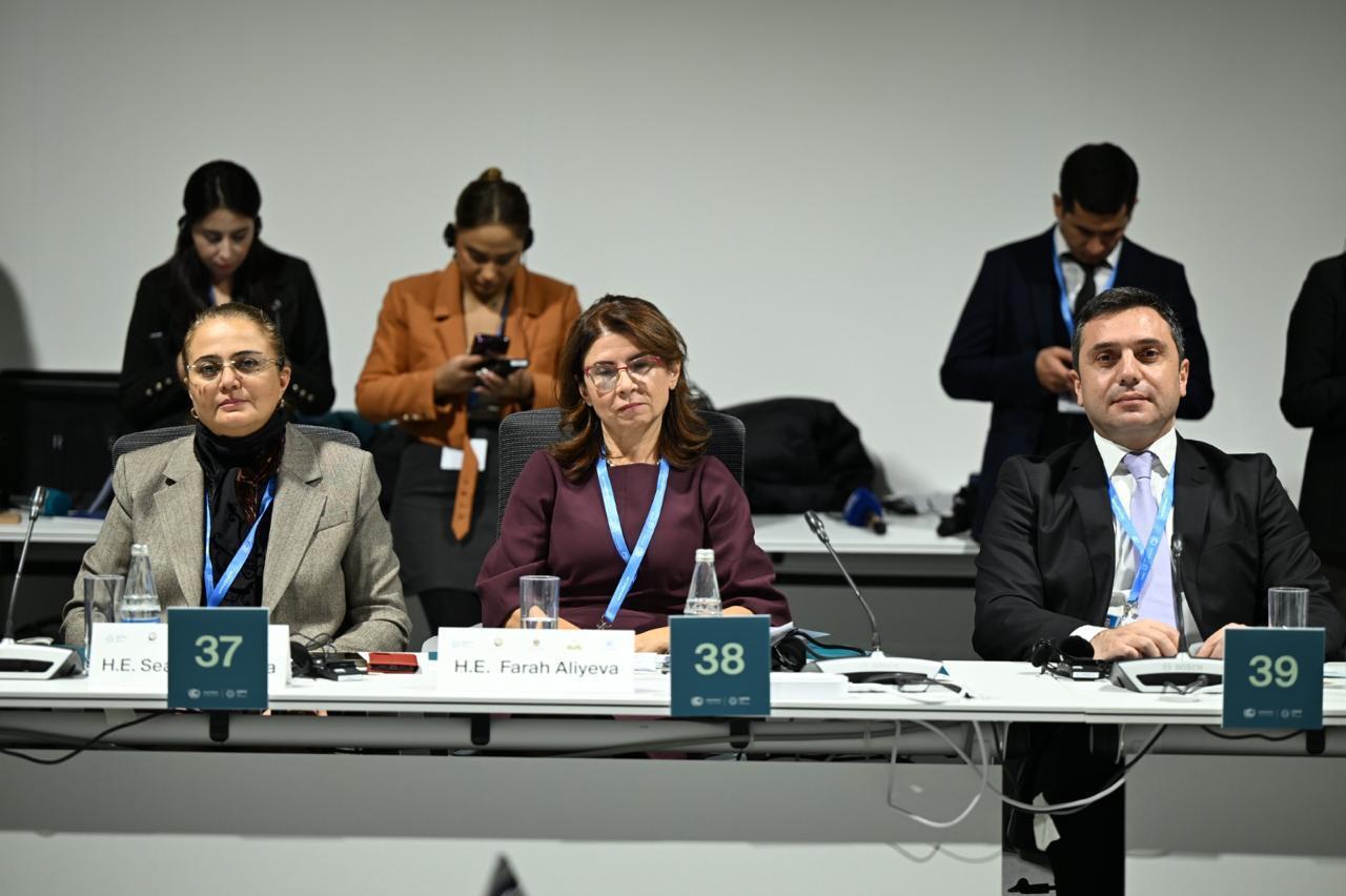 В рамках COP29 в Баку состоялась вторая встреча министров культуры высокого уровня