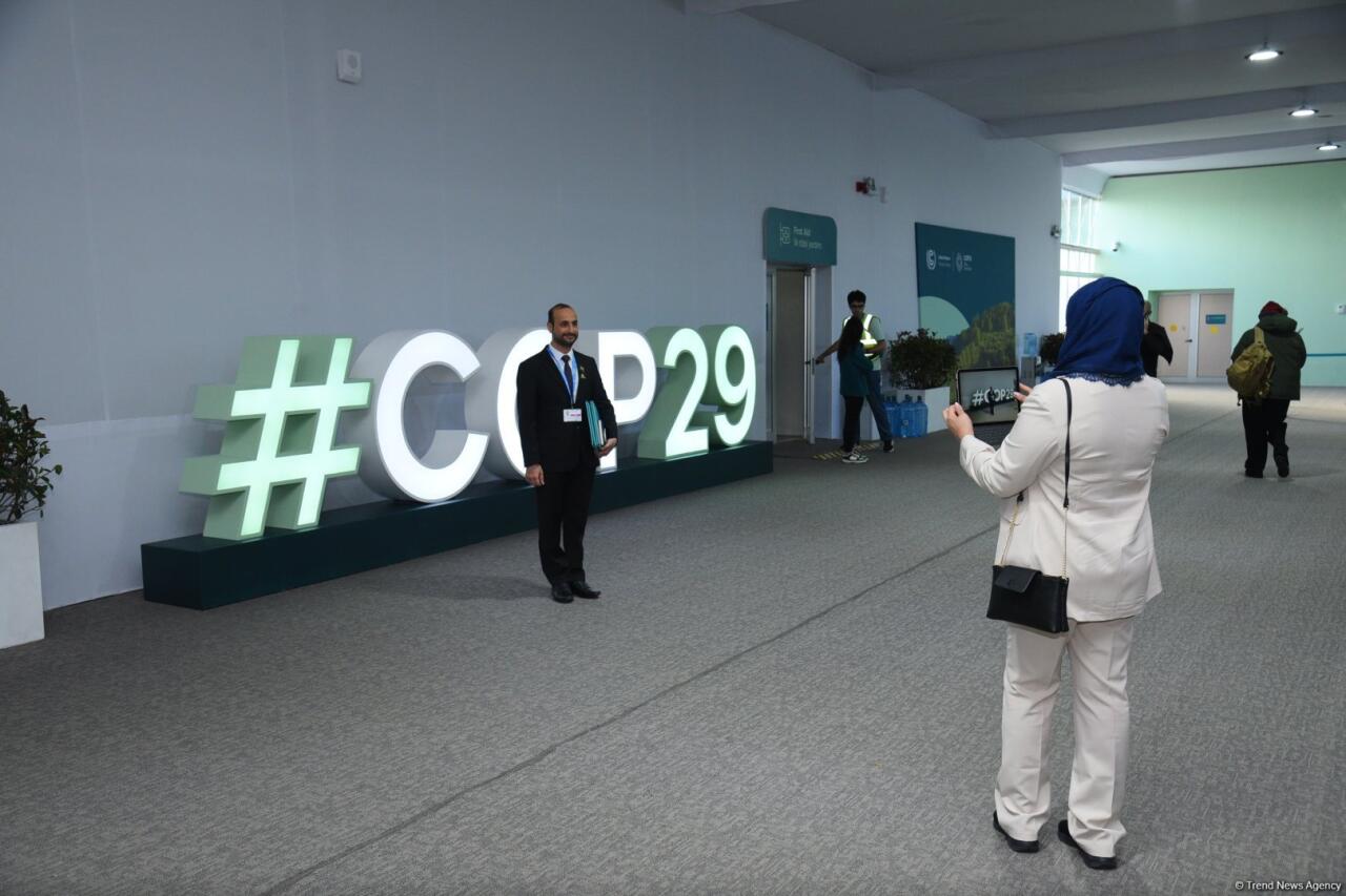 COP29-un beşinci günündən