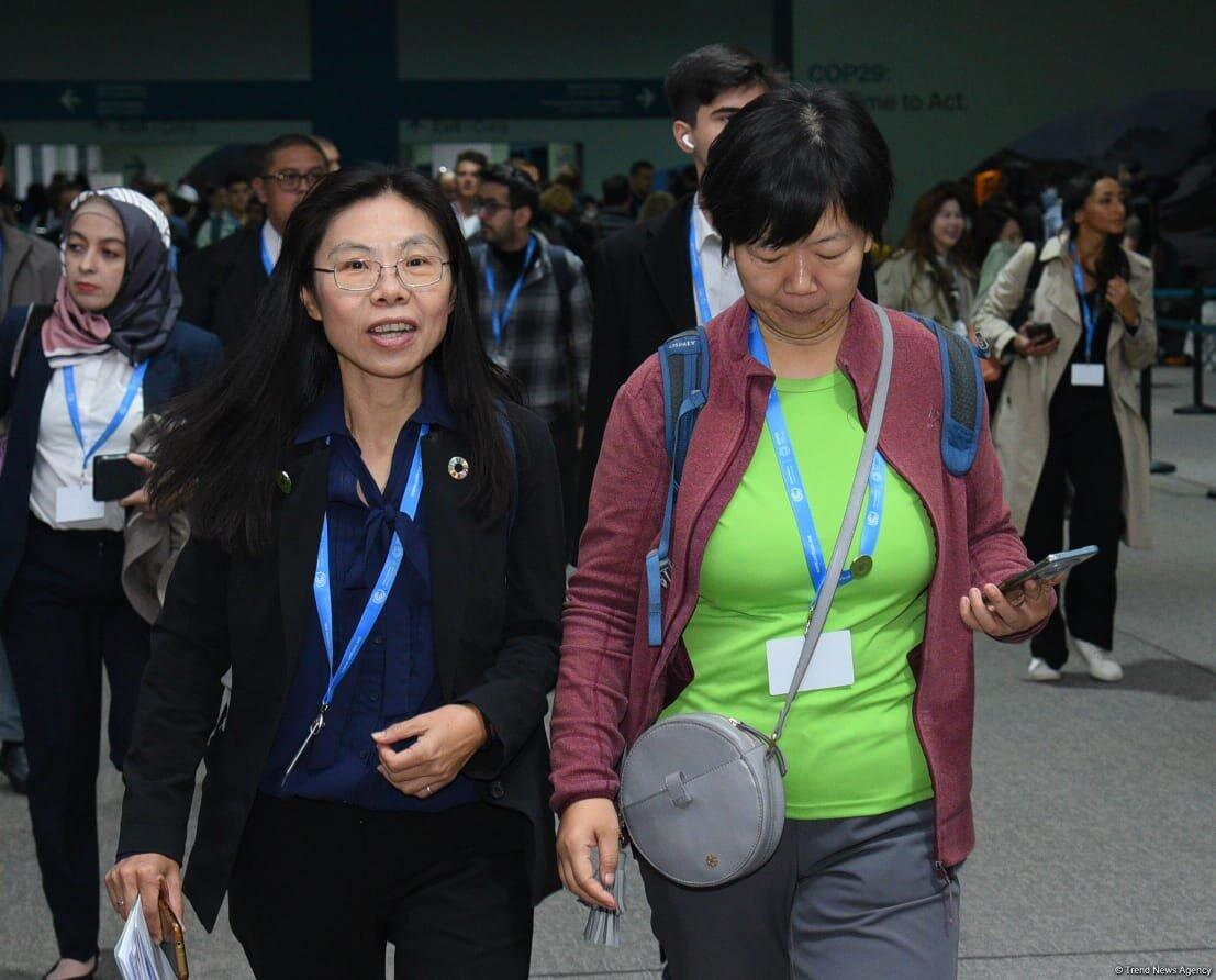 COP29-un beşinci günündən