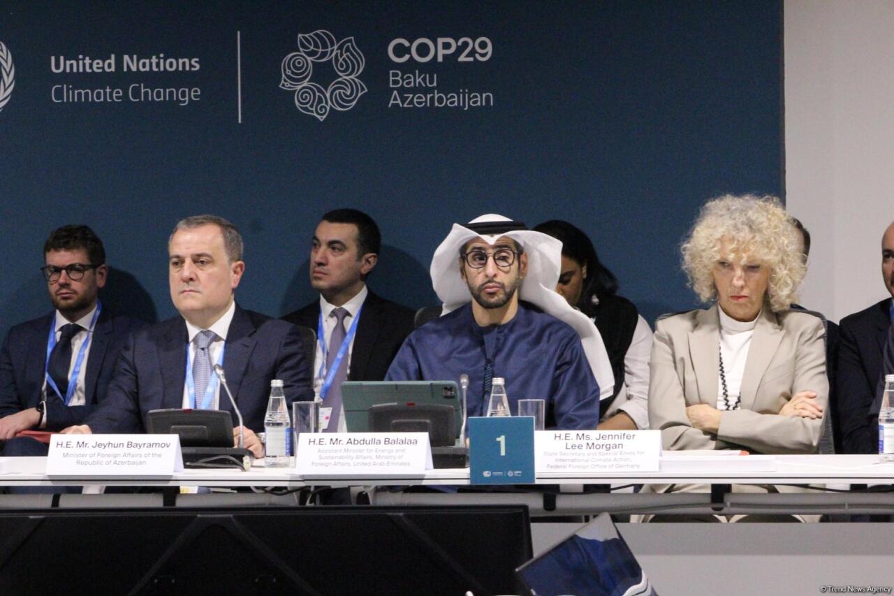 На COP29 прошла панельная сессия, организованная рядом стран совместно с Международной организацией по миграции