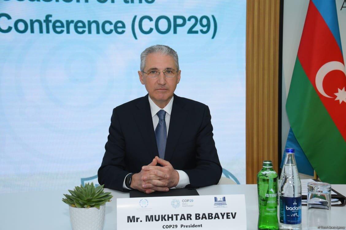 COP29