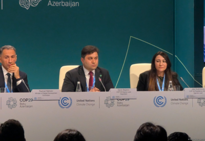 Председательство Азербайджана на COP29 создаст возможности для справедливого климатического финансирования