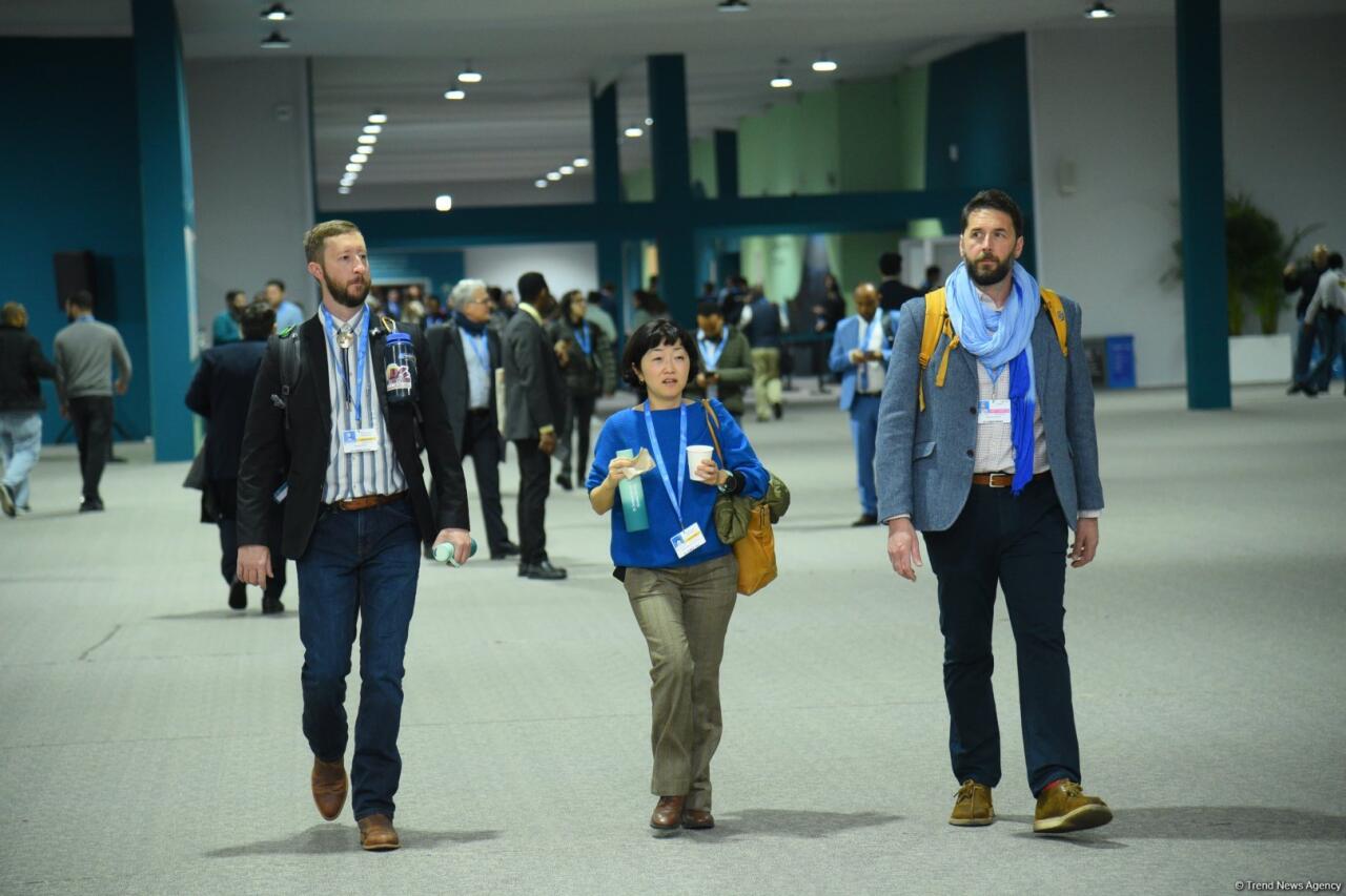 COP29-un səkkizinci günündən