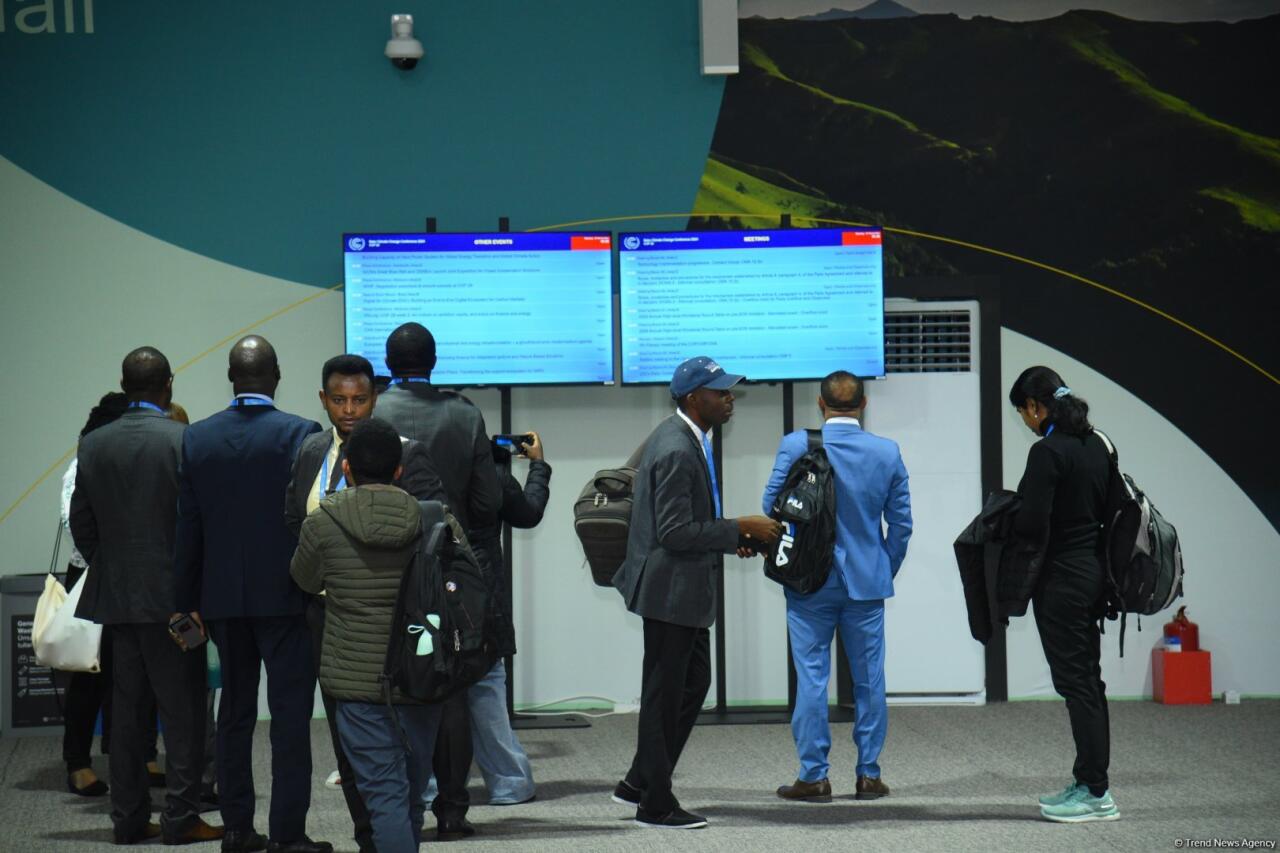 COP29-un səkkizinci günündən