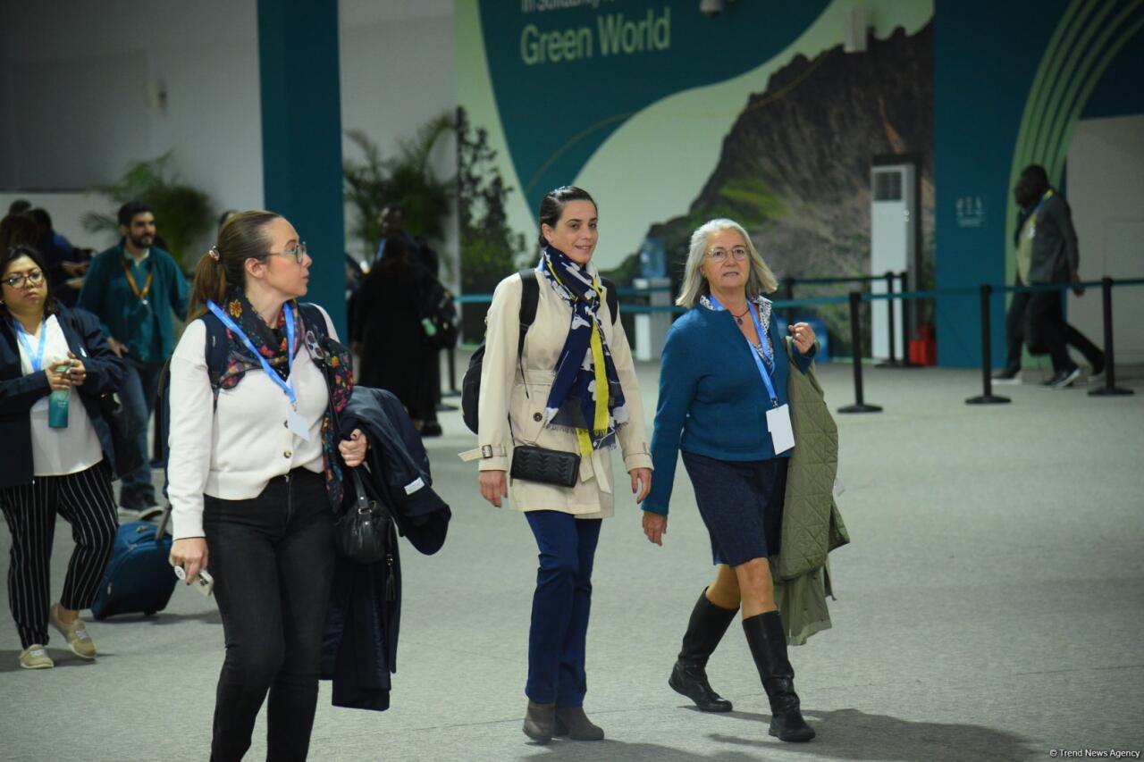 COP29-un səkkizinci günündən