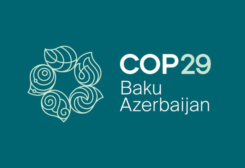 На COP29 Азербайджан представил национальную стратегию по профилактике зоонозных заболеваний