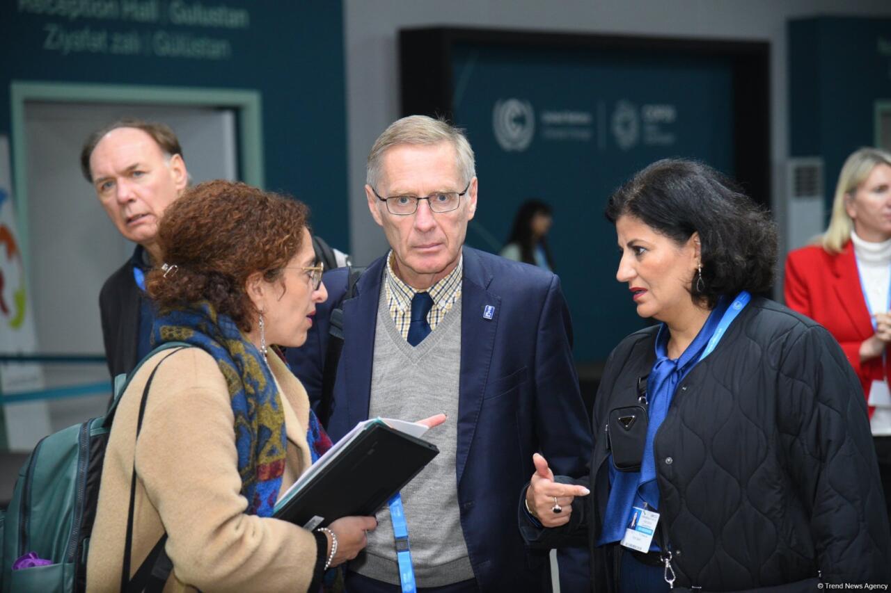 COP29-un doqquzuncu günündən