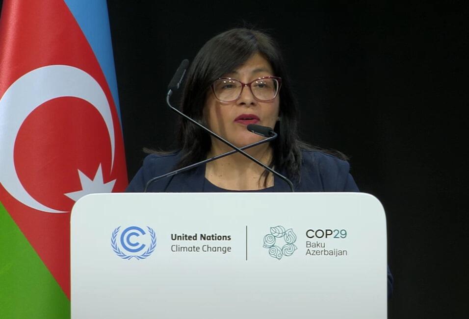 COP29-un onuncu günündən