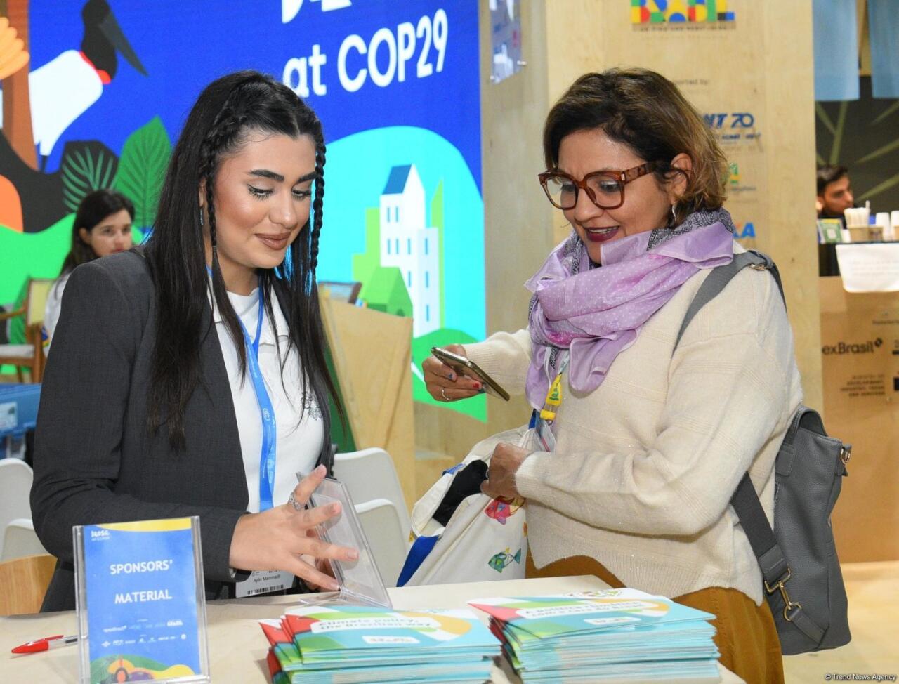 COP29-un onuncu günündən