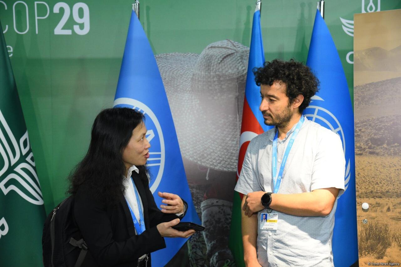 COP29-un onuncu günündən