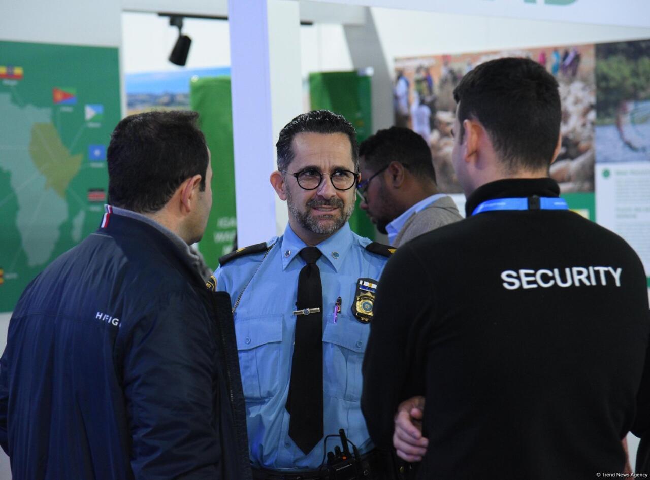 COP29-un onuncu günündən