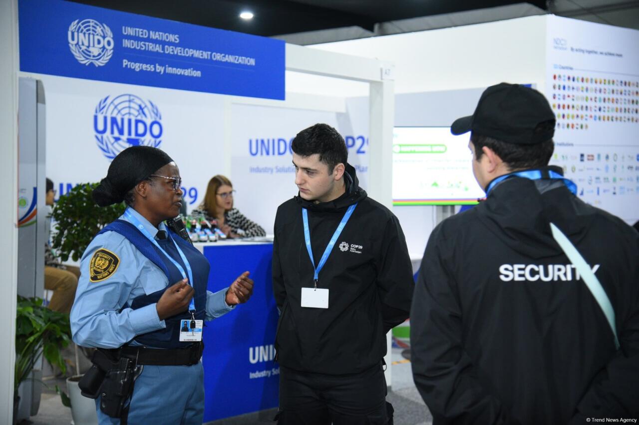 COP29-un onuncu günündən