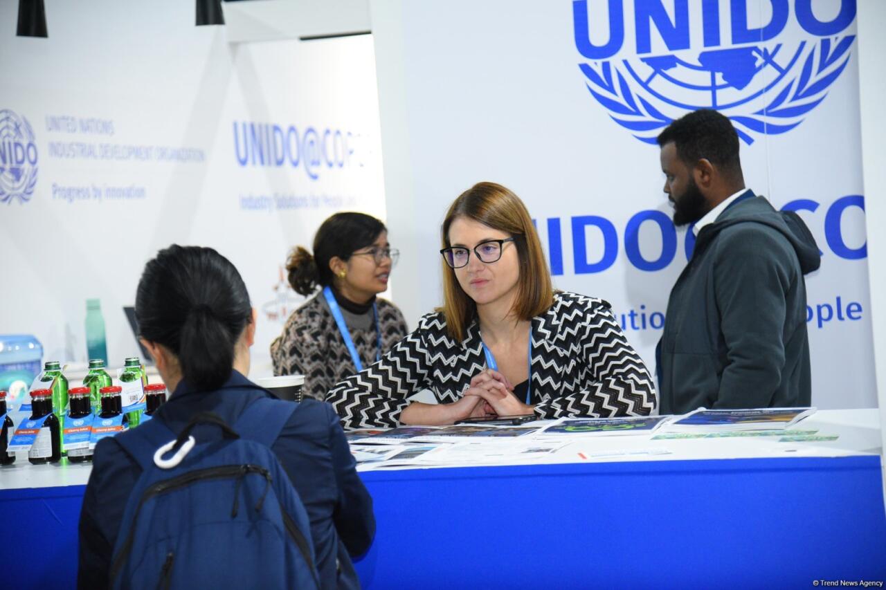 COP29-un