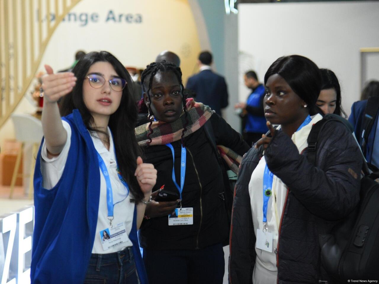 COP29-un onuncu günündən