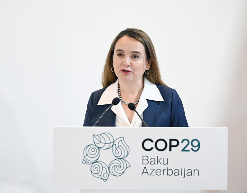 Heydər Əliyev Fondunun vitse-prezidenti Leyla Əliyeva COP29 çərçivəsində nadir canlıların mühafizəsinə həsr olunan panel müzakirələrində iştirak edib