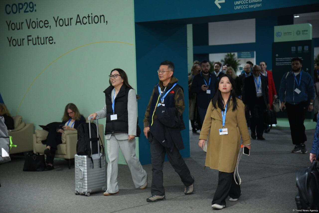 Одиннадцатый день COP29 в Баку