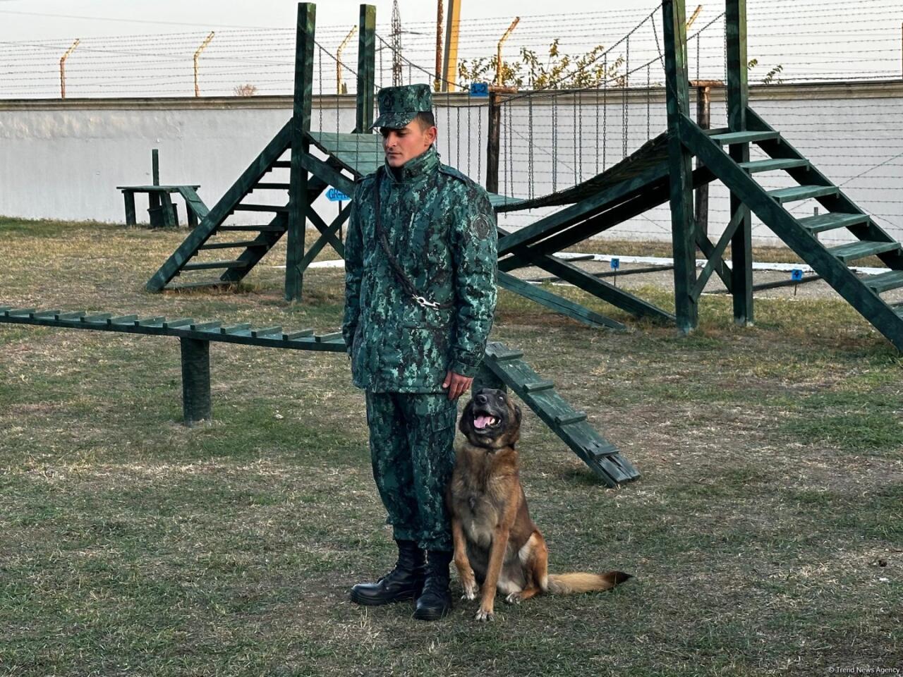 Медиатур на территорию службы пограничного отряда "Шамкир" ГПС Азербайджана