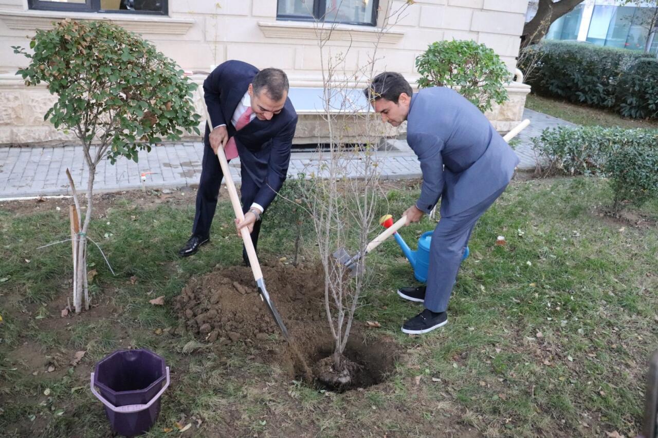 Азербайджан и Бразилия обсудили развитие туристических связей