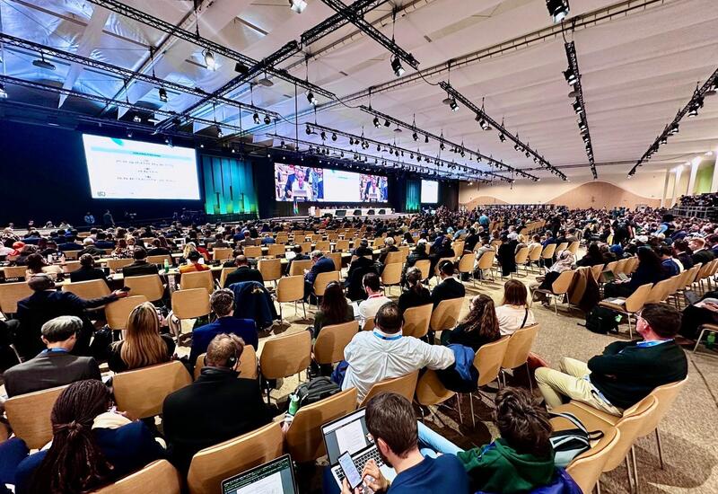 На COP29 принято решение по климатическому финансированию на $300 млрд