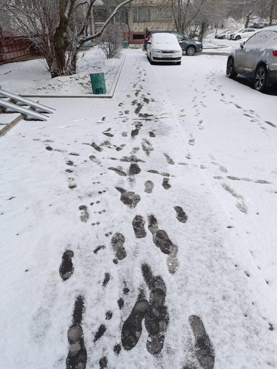 Москву накрыл мощный снегопад