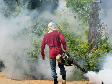 В Японии лихорадкой денге заболели более 120 человек