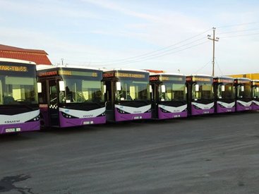 Жители Баку приехали на работу сегодня на новых автобусах - ОБНОВЛЕНО - ФОТО