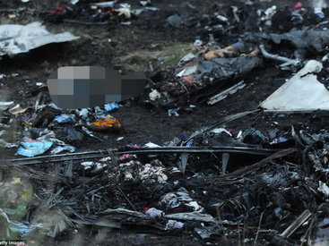 Британская пара чудом не стала жертвой аварии Boeing в Украине