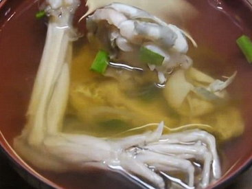 В ресторане Токио подают лягушку в предсмертных муках - ФОТО