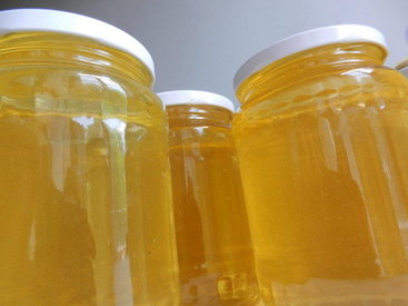 Все, что надо знать о мёде в Азербайджане – ФОТО - ОПРОС