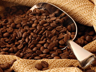 Самый дорогой в мире кофе продают по $500 за чашку