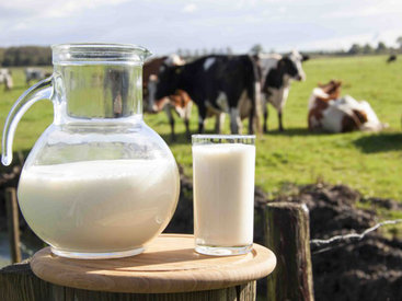 Неприятные факты о молоке, которые нужно знать каждому