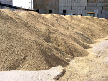 В Азербайджане продлен срок принятия пшеницы для Государственного зернового фонда
