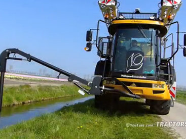Как поливают поля тюльпанов в Голландии - ВИДЕО