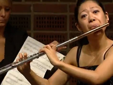 Бабочка мешает женщине играть на флейте - ВИДЕО